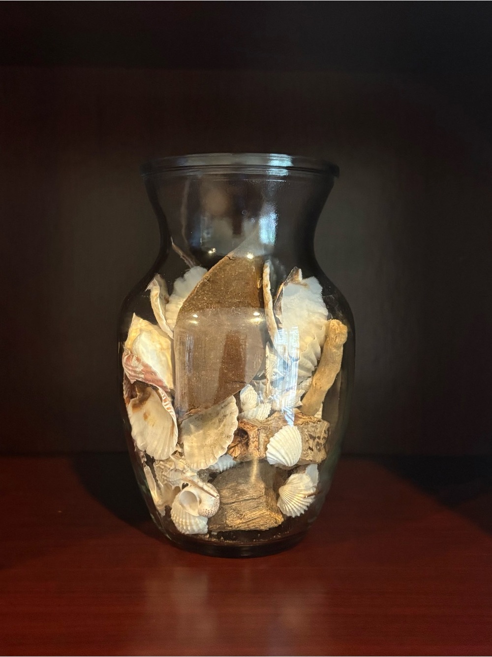 Coastal Home Decor: Set of 2 Vases Filled with Natural Seashells/ Driftwood
